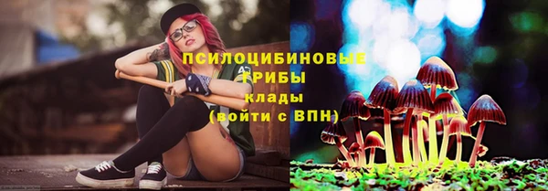 мяу мяу мука Алзамай