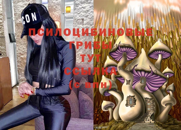 прущие грибы Алексеевка