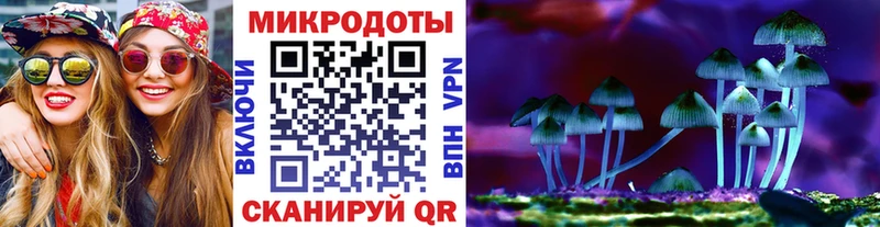 Псилоцибиновые грибы Psilocybe  kraken онион  Порхов 